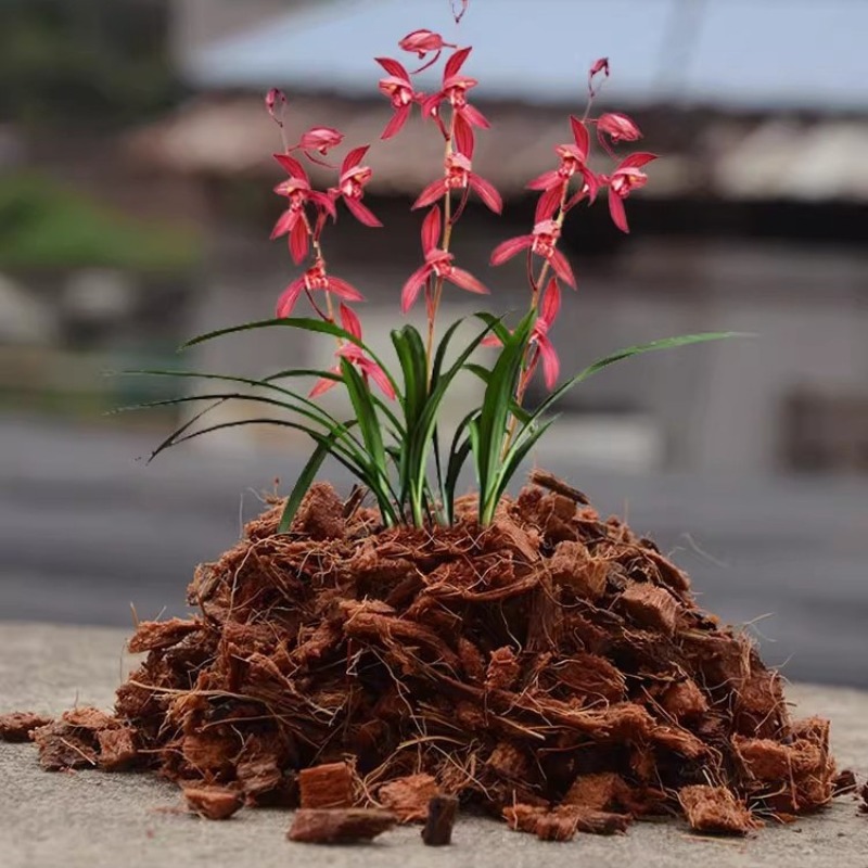 Organik Gübre İçeren Hindistan - Substrate Coconut Fiber incelemesi ve fiyatı