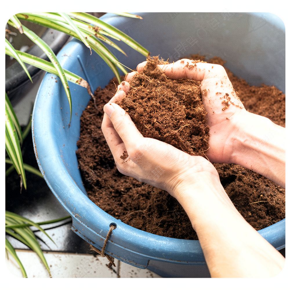 Yüksek Emilimli Hindistan Cevi - Substrate Coconut Fiber incelemesi ve fiyatı